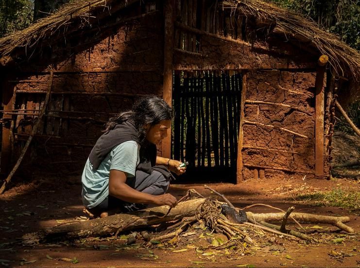 Jasy Porã, la comunidad guaraní que combina turismo y reforestación en Iguazú