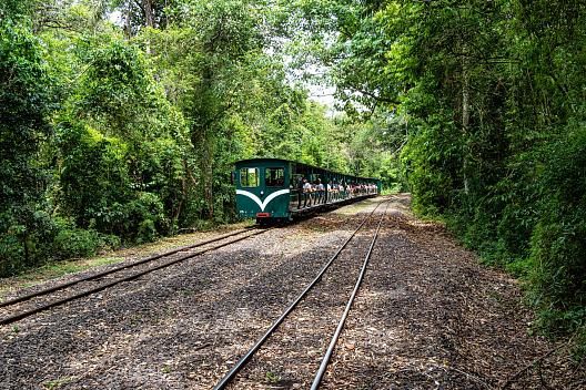 Tren Ecológico de la Selva
